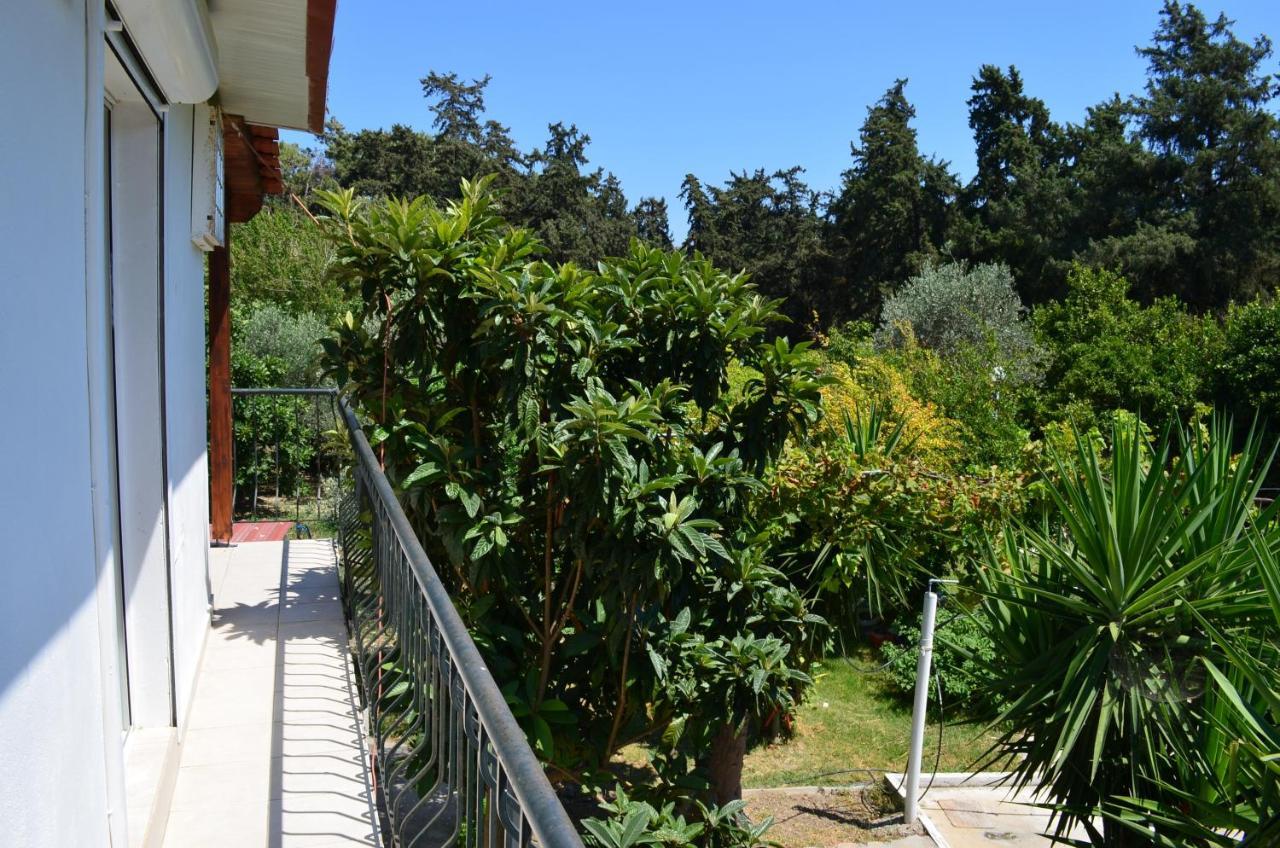 Artemis Studios - Pool&garden Koskinou (Rhodes) Exterior foto